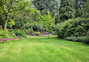 Optimiser l'expérience du jardin à Caillouel-Crepigny